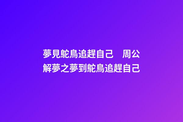 夢見鴕鳥追趕自己　周公解夢之夢到鴕鳥追趕自己